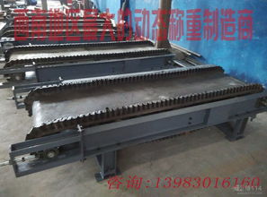 配料秤 精準(zhǔn)與效率的守護(hù)者